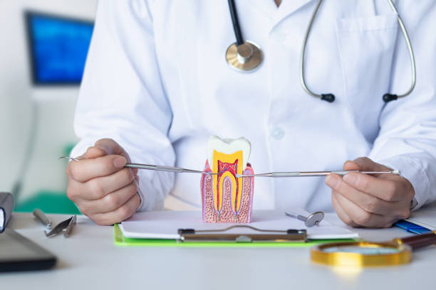 Best Urgent Tooth Repair  in Owatonna, MN
